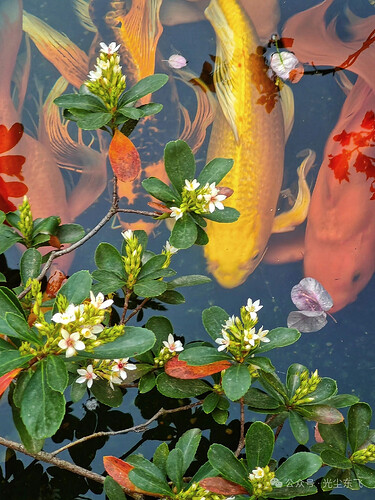 pasted-image-2026-05-15T02-23-50.png