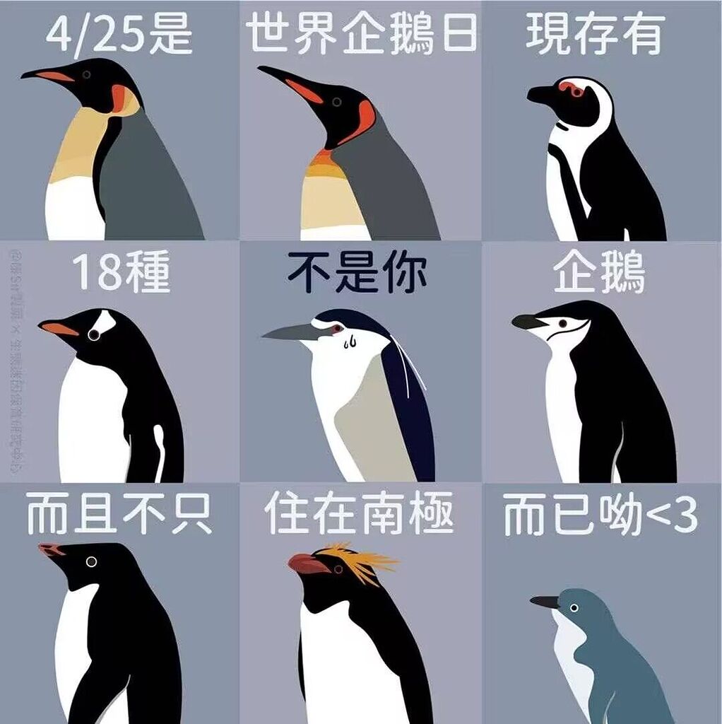 【冷知识】世界企鹅日 - 搞七捻三 - LINUX DO