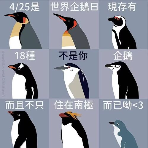 Image1777109008420