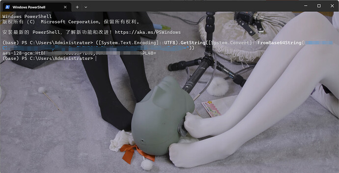 觉得解析太麻烦也可以直接丢给gpt