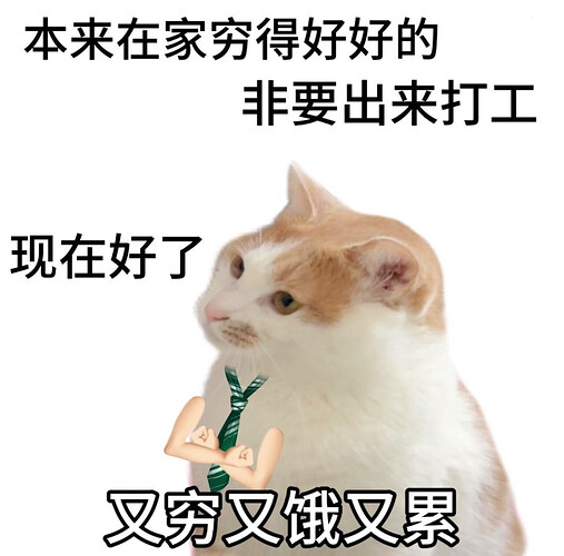 pasted-image-2026-05-01T04-40-33.png