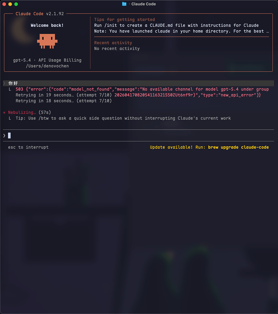 wong公益站+cc switch如何使用 - 开发调优 - LINUX DO