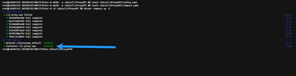 基于docker搭建CLIProxyAPI图文教程 - 文档共建 - LINUX DO