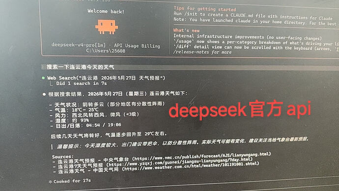 opencode go的deepseek模型有联网搜索吗？ - 开发调优 - LINUX DO
