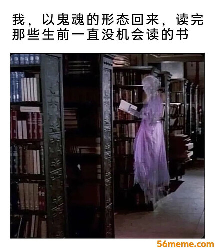 pasted-image-2026-05-05T03-44-05.png