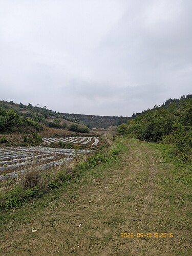 519.jpg