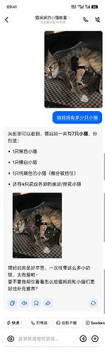 imgv30212194e6d799-639a-497a-b150-1301add1e62g