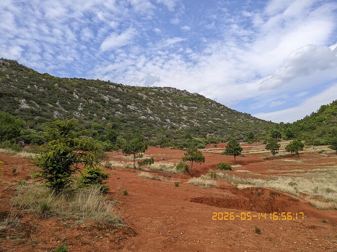 689.jpg
