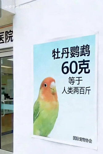 pasted-image-2026-06-01T01-30-00.png