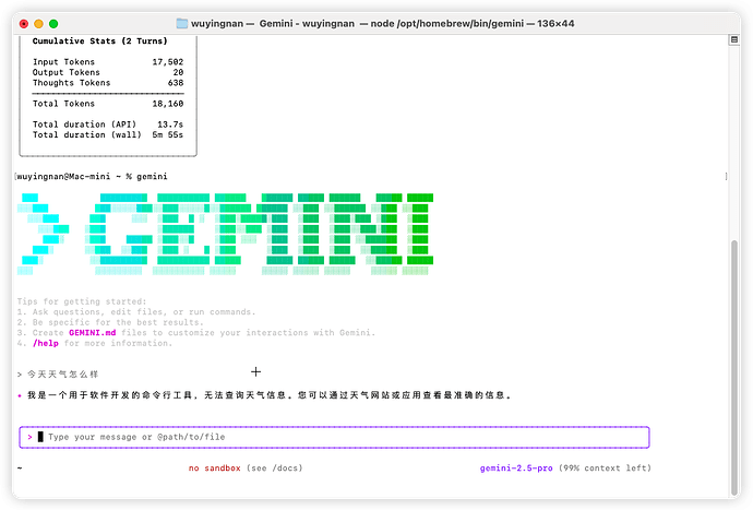 Gemini Cli使用教程 - 开发调优 - LINUX DO