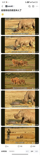 pasted-image-2026-05-14T10-12-55.png