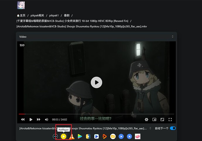 Potplaye Linux alist通过potplayer播放延迟高,但是alist网页就很顺畅 - 开发调优 - LINUX DO