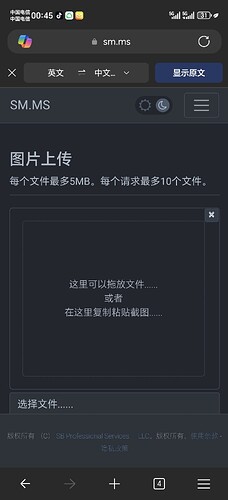 Screenshot_20251203_004538_com_microsoft_emmx_canary_ChromeTabbedActivity