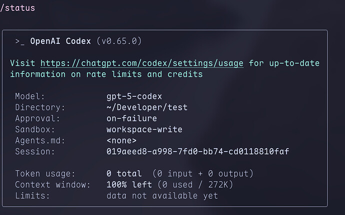 macos codex 不能创建写文件 - 开发调优 - LINUX DO