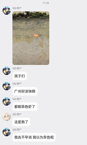 pasted-image-2026-05-29T01-52-31.png