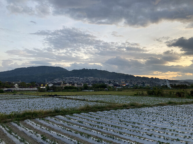 和顺古镇_9912.HEIC