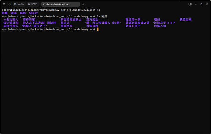 自建 Emby - 开发调优 - LINUX DO