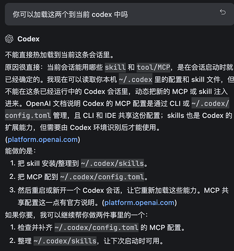idea 中的 codex 如何加载 skills - 开发调优 - LINUX DO