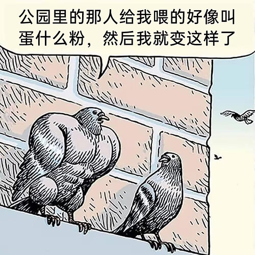 pasted-image-2026-05-15T02-29-09.png