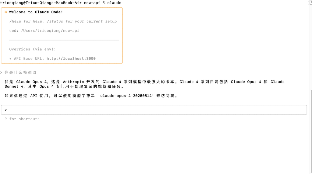 关于new api接入claude code - 开发调优 - LINUX DO