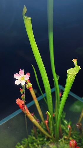 IMG_9370_VSCO