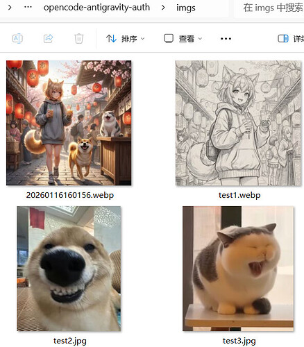 OpenCode的反重力插件自此完全体了 图生图功能也加入进来了 - 福利羊毛 - LINUX DO