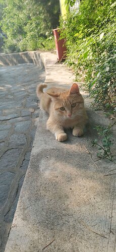 IMG_20260524_174136.jpg