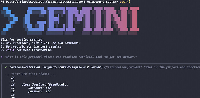 ACE-MCP配置踩坑经验 - 开发调优 - LINUX DO