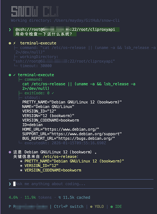 【Snow Console 已开启注册】最新的v0.6.15 已支持SSH连接，添加远程目录为工作目录 - 开发调优 - LINUX DO