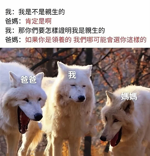 pasted-image-2026-06-10T12-24-32.png