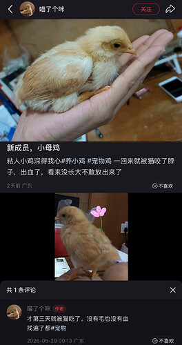 pasted-image-2026-05-30T01-07-45.png