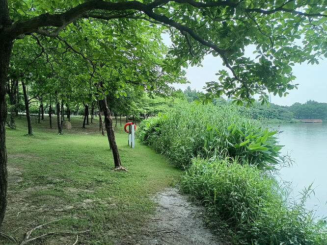 IMG20260504103909