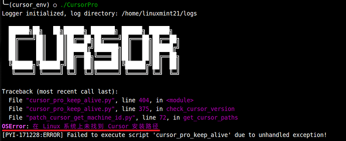 linux下如何使用cursor pool - 开发调优 - LINUX DO