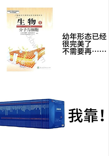 pasted-image-2026-05-28T11-08-06.png