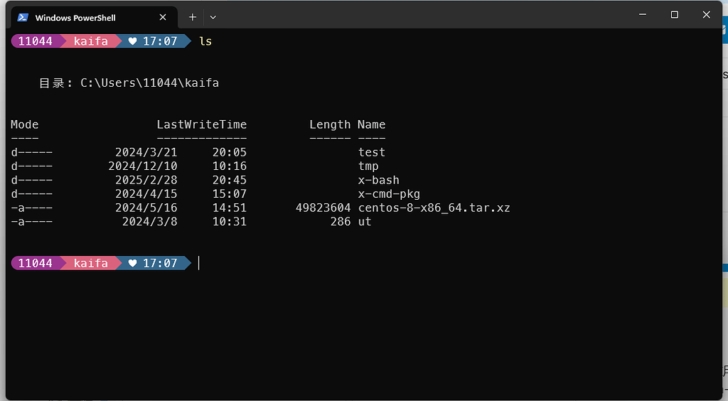 各位佬都用什么终端提示符主题? - 开发调优 - LINUX DO
