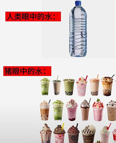 pasted-image-2026-05-09T03-18-26.png