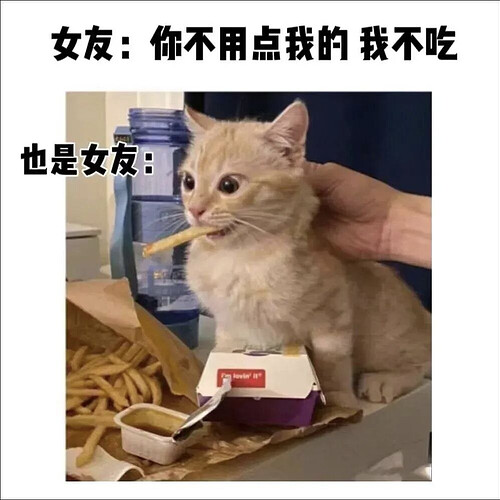 pasted-image-2026-05-01T04-23-53.png