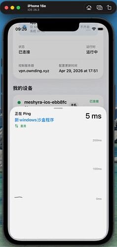 Ping界面