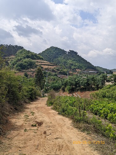 276.jpg