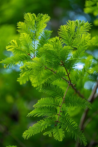 3934.jpg