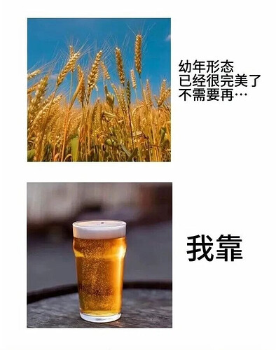 pasted-image-2026-06-10T12-25-52.png