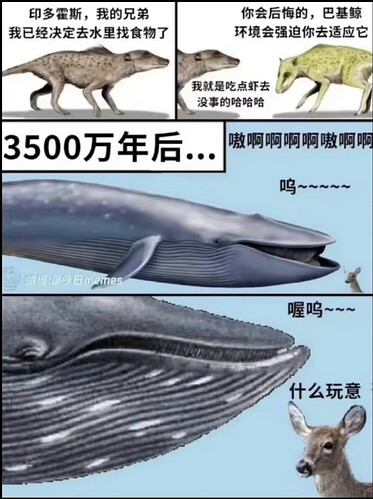 pasted-image-2026-06-25T05-04-16.png