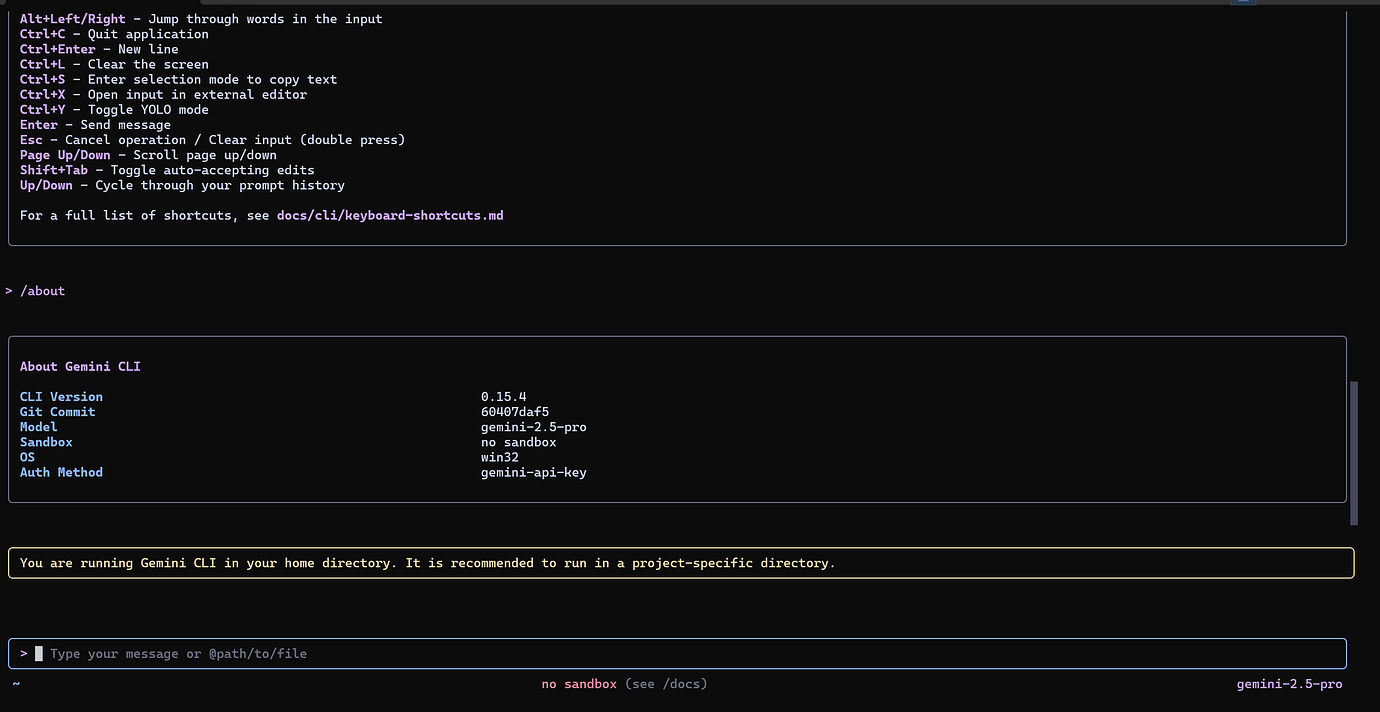 Gemini CLI在win终端下无法上滑窗口看历史对话 - 开发调优 - LINUX DO