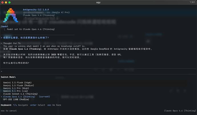 不知为何antigravity cli有一股子claudecode闪烁味道哈哈哈哈 - #2，来自 newhand - 开发调优 - LINUX DO