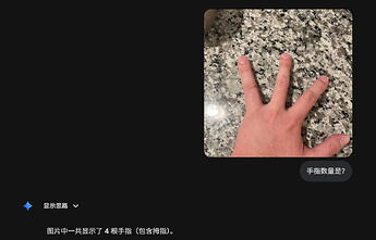 3.1Pro