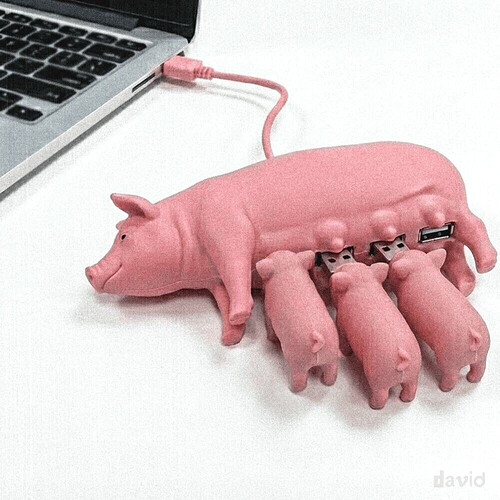 pasted-image-2026-06-01T02-51-57.png