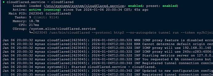 小白求助，cloudflare tunnel服务经常会挂 - 开发调优 - LINUX DO