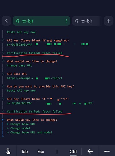 openclaw 无法连接 newapi :Verification failed: fetch failed - 开发调优 - LINUX DO