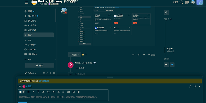Codex开通team，多少钱昂？ - 开发调优 - LINUX DO