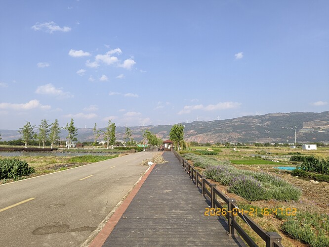 124.jpg